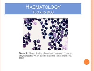 HAEMATOLOGY
TLC AND DLC
 