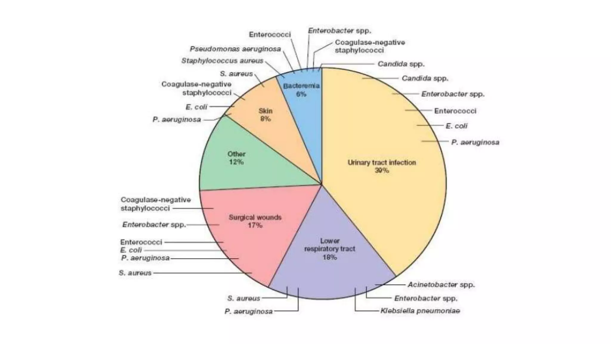 Laboratory diagnosis of Blood Stream Infections (BSIs) | PPTX