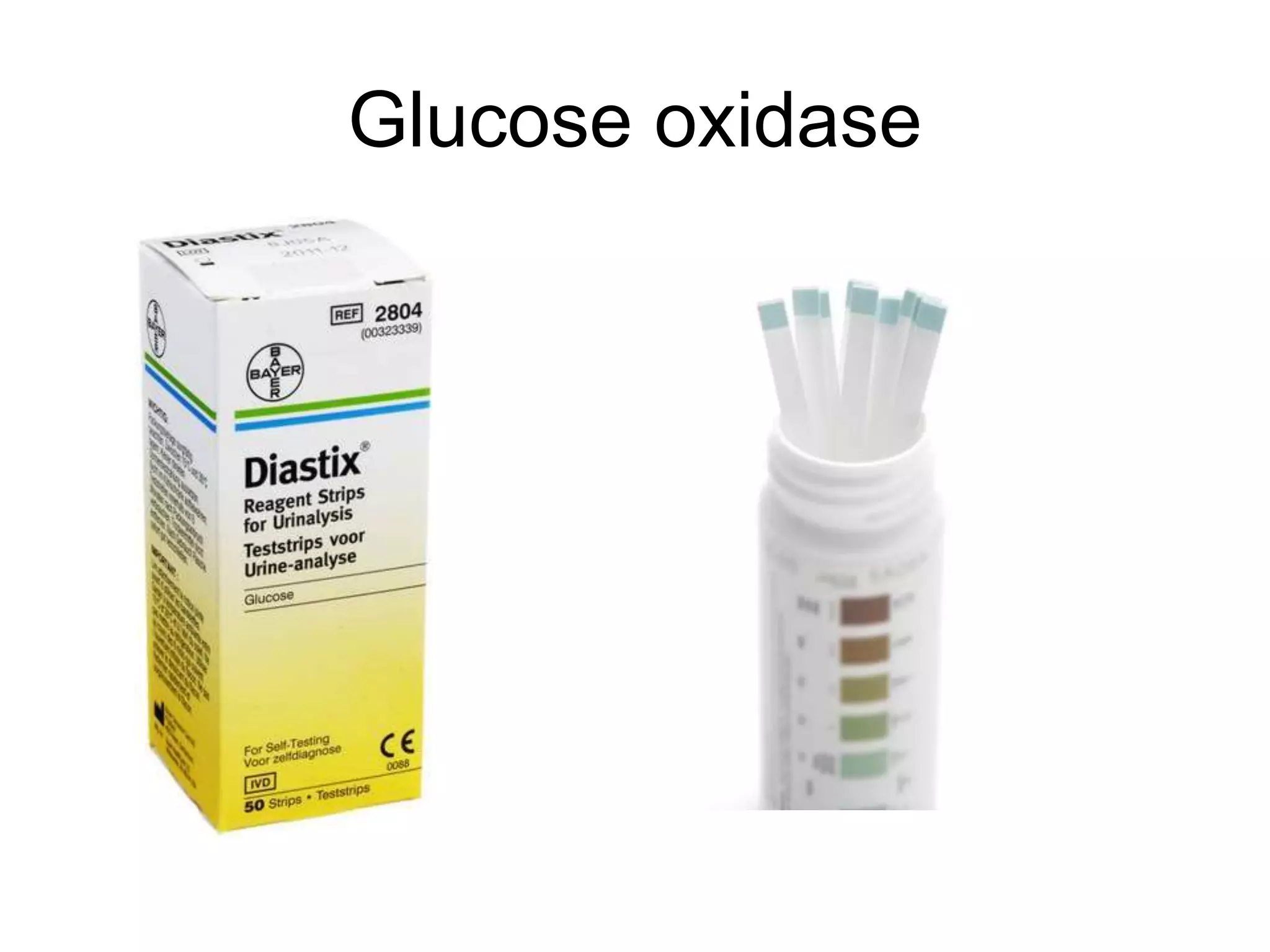 Glucose oxidase