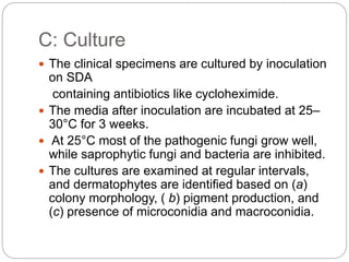 Laboratory diagnosis of fungal diseases | PPTX