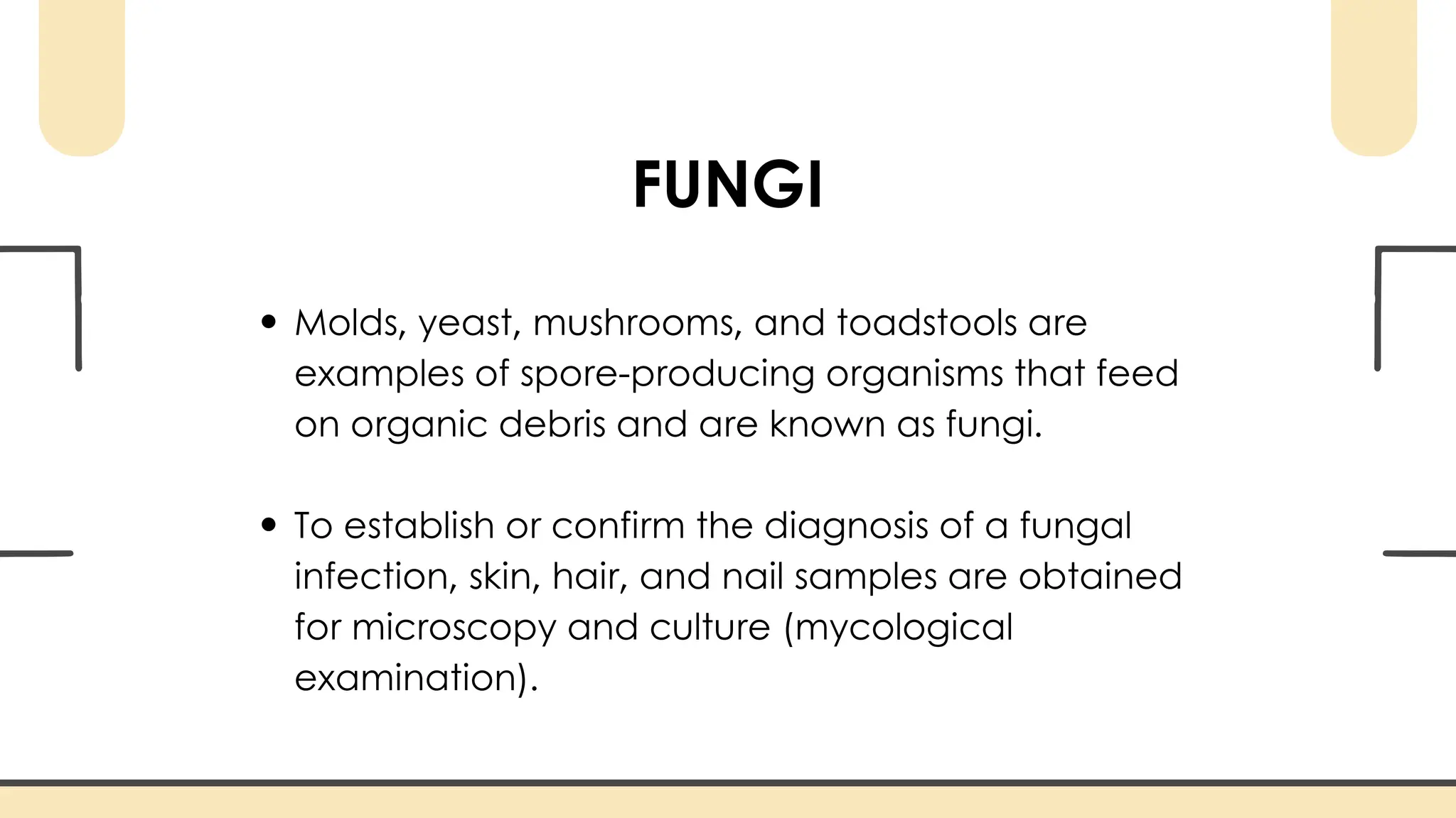 Laboratory Diagnosis of Fungal Infections | PDF