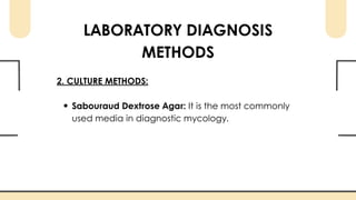 Laboratory Diagnosis of Fungal Infections | PDF
