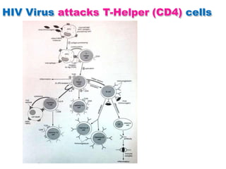 Laboratory diagnosis of HIV: Basics. | PDF