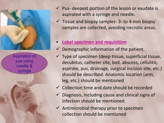  Pus- deepest portion of the lesion or exudate is
aspirated with a syringe and needle.
 Tissue and biopsy samples- 3- to 4-mm biopsy
samples are collected, avoiding necrotic areas.
• Label specimen and requisition
 Demographic information of the patient.
 Type of specimen (deep tissue, superficial tissue,
decubitus, catheter site, boil, abscess, cellulitis,
aspirate, pus, drainage, surgical incision site, etc.)
should be described. Anatomic location (arm,
leg, etc.) should be mentioned
 Collection time and date should be recorded
 Diagnosis, including cause and clinical signs of
infection should be mentioned.
 Antimicrobial therapy prior to specimen
collection should be mentioned
Aspiration of
pus using
needle &
syringe
 
