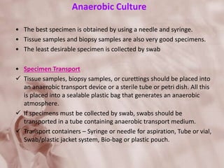 Anaerobic Culture
• The best specimen is obtained by using a needle and syringe.
• Tissue samples and biopsy samples are also very good specimens.
• The least desirable specimen is collected by swab
• Specimen Transport
 Tissue samples, biopsy samples, or curettings should be placed into
an anaerobic transport device or a sterile tube or petri dish. All this
is placed into a sealable plastic bag that generates an anaerobic
atmosphere.
 If specimens must be collected by swab, swabs should be
transported in a tube containing anaerobic transport medium.
 Transport containers – Syringe or needle for aspiration, Tube or vial,
Swab/plastic jacket system, Bio-bag or plastic pouch.
 