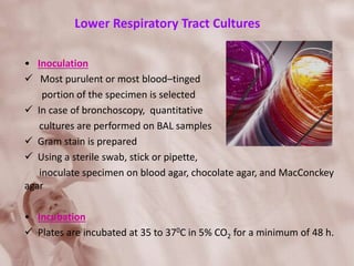 Lower Respiratory Tract Cultures
• Inoculation
 Most purulent or most blood–tinged
portion of the specimen is selected
 In case of bronchoscopy, quantitative
cultures are performed on BAL samples
 Gram stain is prepared
 Using a sterile swab, stick or pipette,
inoculate specimen on blood agar, chocolate agar, and MacConckey
agar
• Incubation
 Plates are incubated at 35 to 370C in 5% CO2 for a minimum of 48 h.
 