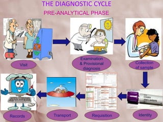 THE DIAGNOSTIC CYCLE
PRE-ANALYTICAL PHASE
Visit
Examination
& Provisional
diagnosis
Collection
of sample
Identity
Requisition
Transport
Records
 