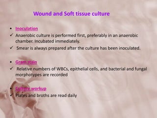 Wound and Soft tissue culture
• Inoculation
 Anaerobic culture is performed first, preferably in an anaerobic
chamber. Incubated immediately.
 Smear is always prepared after the culture has been inoculated.
• Gram stain
 Relative numbers of WBCs, epithelial cells, and bacterial and fungal
morphotypes are recorded
• Culture workup
 Plates and broths are read daily
 