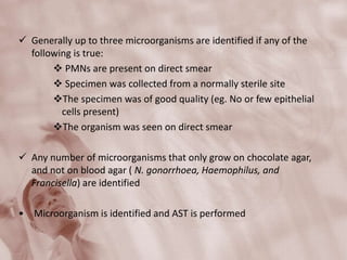  Generally up to three microorganisms are identified if any of the
following is true:
 PMNs are present on direct smear
 Specimen was collected from a normally sterile site
The specimen was of good quality (eg. No or few epithelial
cells present)
The organism was seen on direct smear
 Any number of microorganisms that only grow on chocolate agar,
and not on blood agar ( N. gonorrhoea, Haemophilus, and
Francisella) are identified
• Microorganism is identified and AST is performed
 