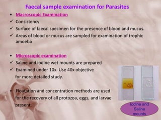 Faecal sample examination for Parasites
• Macroscopic Examination
 Consistency
 Surface of faecal specimen for the presence of blood and mucus.
 Areas of blood or mucus are sampled for examination of trophic
amoeba
• Microscopic examination
 Saline and iodine wet mounts are prepared
 Examined under 10x. Use 40x objective
for more detailed study.
• Floatation and concentration methods are used
for the recovery of all protozoa, eggs, and larvae
present. Iodine and
Saline
mounts
 