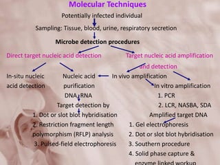 Molecular Techniques
Potentially infected individual
Sampling: Tissue, blood, urine, respiratory secretion
Microbe detection procedures
Direct target nucleic acid detection Target nucleic acid amplification
and detection
In-situ nucleic Nucleic acid In vivo amplification
acid detection purification In vitro amplification
DNA, RNA 1. PCR
Target detection by 2. LCR, NASBA, SDA
1. Dot or slot blot hybridisation Amplified target DNA
2. Restriction fragment length 1. Gel electrophoresis
polymorphism (RFLP) analysis 2. Dot or slot blot hybridisation
3. Pulsed-field electrophoresis 3. Southern procedure
4. Solid phase capture &
 