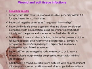 Wound and soft tissue infections
• Reporting results
 Report gram stain results as soon as possible, generally within 1 h
for specimens from critical sites.
 Report all negative cultures as “ no growth in-------days”
 Report individually those organisms that are always considered
pathogenic with enumeration, using preliminary identification
initially and the genus and species as the final identification.
 Due to their known virulence factors, indicate the presence of the
following species: Beta-haemolytic Streptococci, S. aureus, P.
aeruginosa, Clostridium perfringens, Pigmented anaerobes,
Bacteroides spp., Mixed anaerobes.
 Report AST on gram-negative rods, enterococci, or S. aureus
 When multiple morphologies are present, report with minimal
identification
 Additionally, if mixed microbiota are cultured with no predominant
microorganism, report as GI, oronasal, skin, or genital microbiota.
 