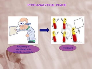 POST-ANALYTICAL PHASE
Reporting of
Identification &
Antibiotic sensitivity
Treatment
 
