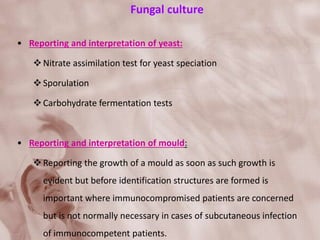 Fungal culture
• Reporting and interpretation of yeast:
Nitrate assimilation test for yeast speciation
Sporulation
Carbohydrate fermentation tests
• Reporting and interpretation of mould:
Reporting the growth of a mould as soon as such growth is
evident but before identification structures are formed is
important where immunocompromised patients are concerned
but is not normally necessary in cases of subcutaneous infection
of immunocompetent patients.
 