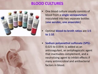 BLOOD CULTURES
• One blood culture usually consists of
blood from a single venepuncture
inoculated into two separate bottles
(one aerobic, one anaerobic)
• Optimal blood-to-broth ratios are 1:5
to 1:10.
• Sodium polyanethol sulfonate (SPS)-
0.025 to 0.05%- is added as an
anticoagulant, an antiphagocytic agent
that inactivates complement, and a
neutralizing agent to inhibit effects if
many antimicrobial and antibacterial
factors in blood.
 