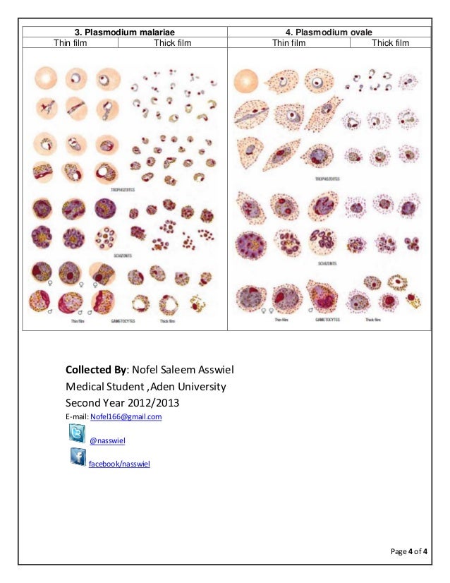 Laboratory diagnosis of malaria