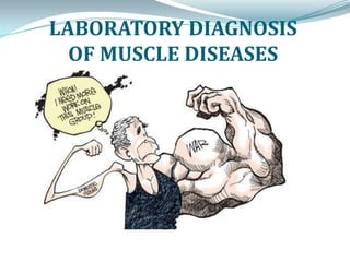LABORATORY DIAGNOSIS
OF MUSCLE DISEASES

 