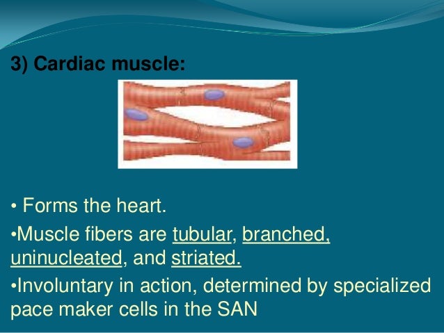 Laboratory diagnosis of muscle diseases