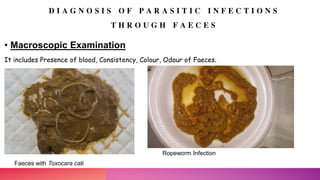 Coproscopia Laboratory diagnosis of parasites | PPTX
