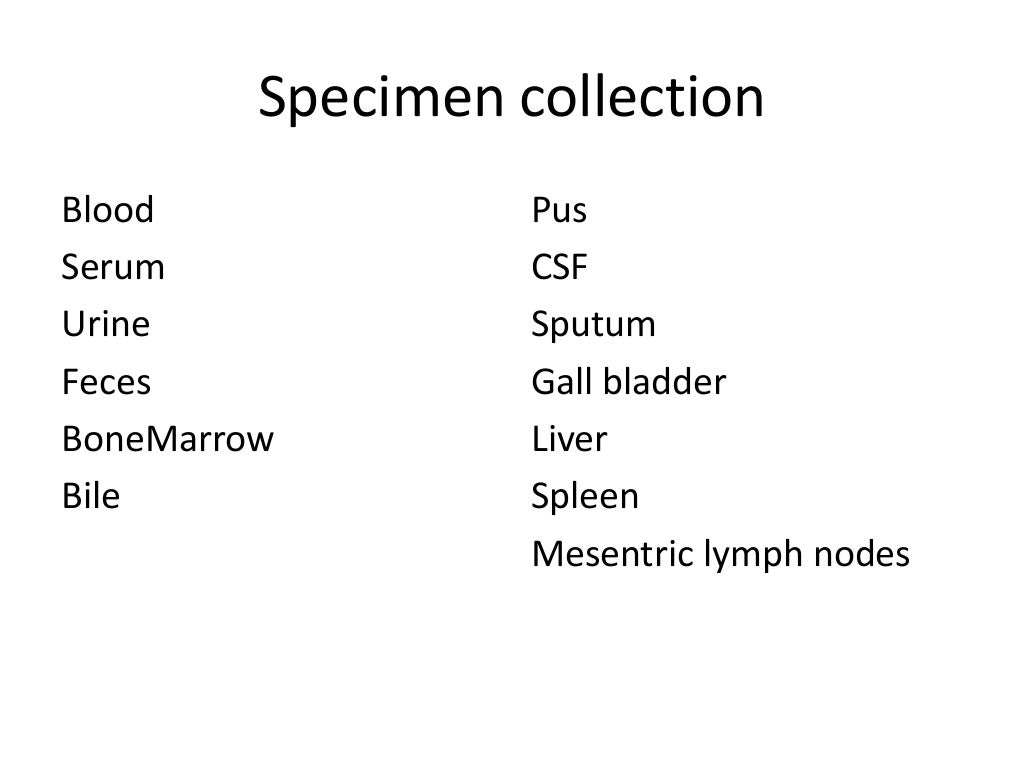 Laboratory diagnosis of salmonella