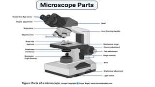Comprehensive Guide to Laboratory Microscopy and Equipment Maintenance ...