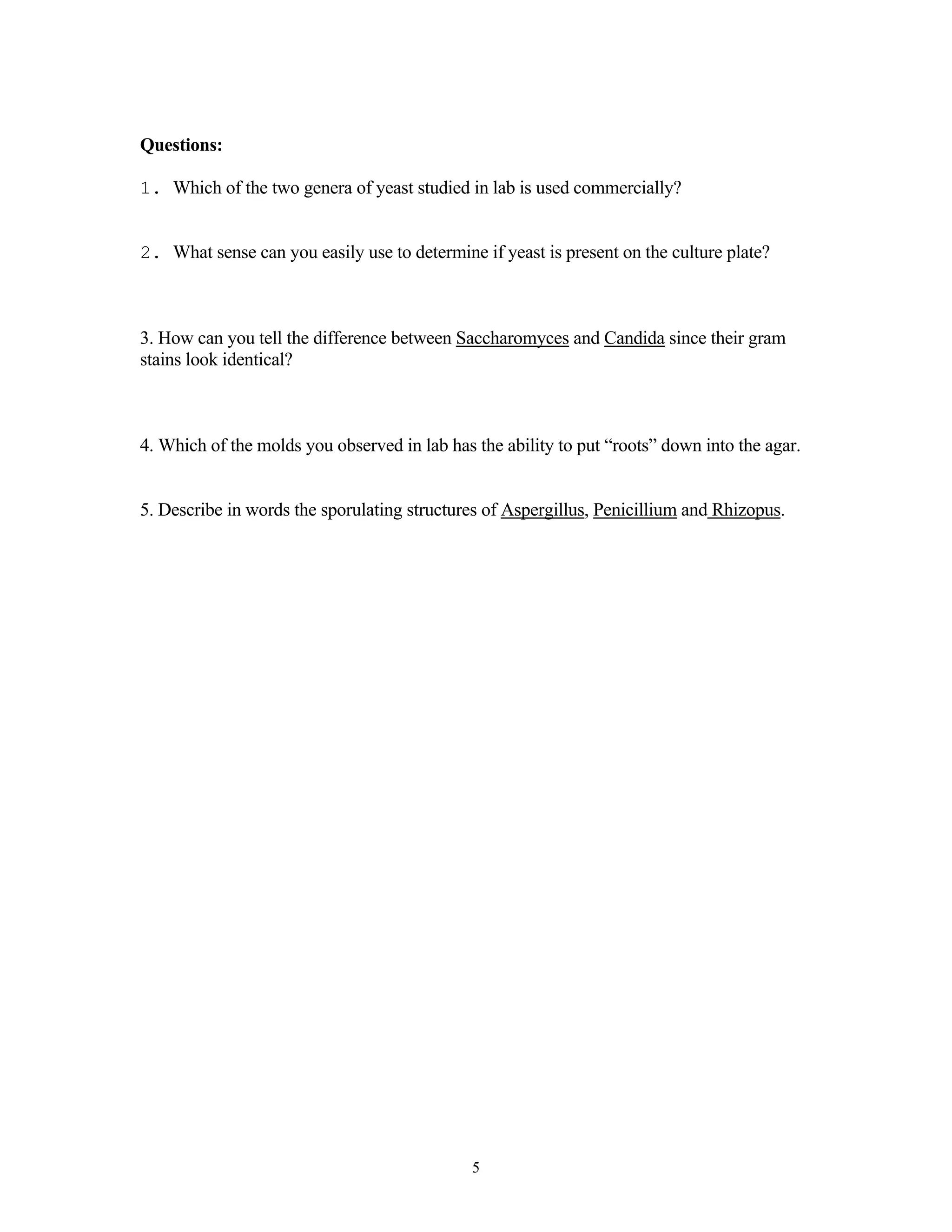 5
Questions:
1. Which of the two genera of yeast studied in lab is used commercially?
2. What sense can you easily use to determine if yeast is present on the culture plate?
3. How can you tell the difference between Saccharomyces and Candida since their gram
stains look identical?
4. Which of the molds you observed in lab has the ability to put “roots” down into the agar.
5. Describe in words the sporulating structures of Aspergillus, Penicillium and Rhizopus.
 
