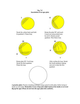 Laboratory exercise vii micro | PDF