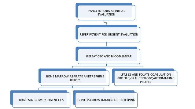 Laboratory investigations in pancytopenia Laboratory investigations in pancytopenia