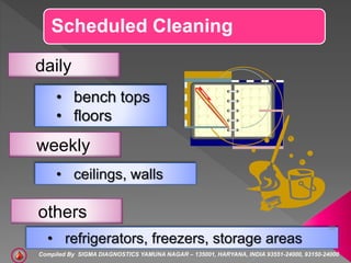 Scheduled Cleaning
daily
• bench tops
• floors
weekly
• ceilings, walls
others
• refrigerators, freezers, storage areas
38...