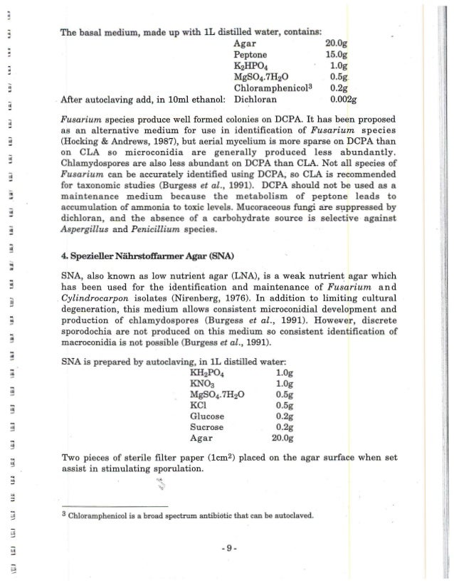 summarize in essay family trip