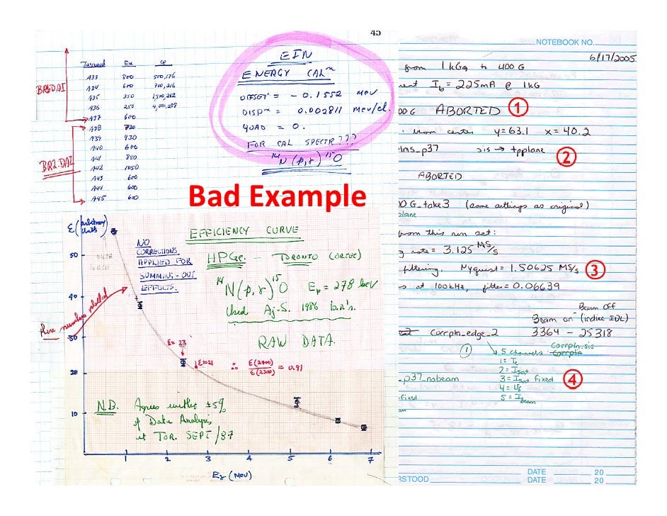 Lab Notebook Example at Mildred Fulcher blog