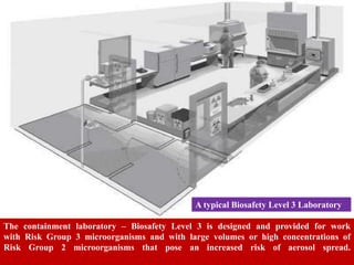 Laboratory oranization and biosafety requirements of microbiology ...