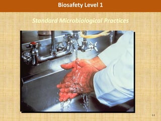 Biosafety Level 1

Standard Microbiological Practices




                                     2.3
 