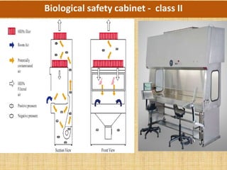 Biological safety cabinet - class II
 