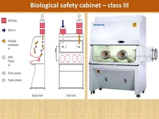 Biological safety cabinet – class III
 