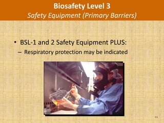Biosafety Level 3
    Safety Equipment (Primary Barriers)


• BSL-1 and 2 Safety Equipment PLUS:
 – Respiratory protection may be indicated




                                             2.5
 