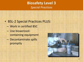 Biosafety Level 3
                  Special Practices



• BSL-2 Special Practices PLUS:
 – Work in certified BSC
 – Use bioaerosol-
   containing equipment
 – Decontaminate spills
   promptly



                                      2.5
 