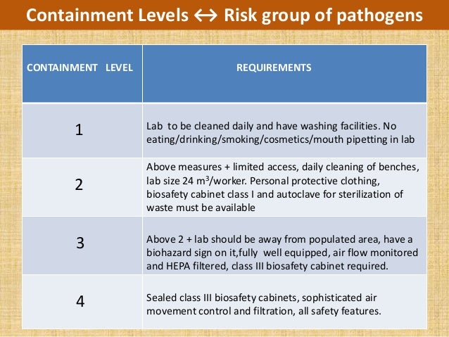 Working Safely In Your Biological Safety Cabinet Ppt Video Online Download
