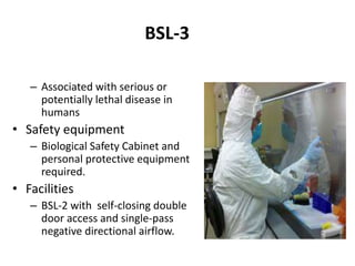 BSL-3
– Associated with serious or
potentially lethal disease in
humans
• Safety equipment
– Biological Safety Cabinet and...