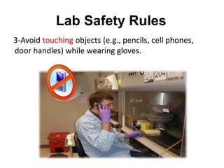 3-Avoid touching objects (e.g., pencils, cell phones,
door handles) while wearing gloves.
Lab Safety Rules
 