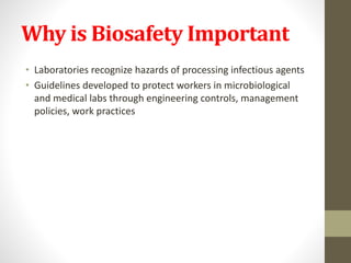 Why is Biosafety Important
• Laboratories recognize hazards of processing infectious agents
• Guidelines developed to protect workers in microbiological
and medical labs through engineering controls, management
policies, work practices
 