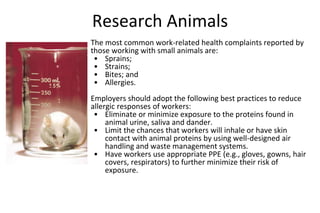 Research Animals
The most common work-related health complaints reported by
those working with small animals are:
• Sprains;
• Strains;
• Bites; and
• Allergies.
Employers should adopt the following best practices to reduce
allergic responses of workers:
• Eliminate or minimize exposure to the proteins found in
animal urine, saliva and dander.
• Limit the chances that workers will inhale or have skin
contact with animal proteins by using well-designed air
handling and waste management systems.
• Have workers use appropriate PPE (e.g., gloves, gowns, hair
covers, respirators) to further minimize their risk of
exposure.
 