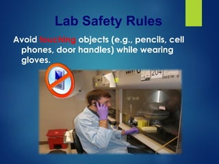 Safety rules in clinical or research laboratory | PPT
