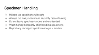 Specimen Handling
● Handle lab specimens with care
● Always put away specimens securely before leaving
● Do not leave specimens open and unattended
● Wash hands thoroughly after handling specimens
● Report any damaged specimens to your teacher
 