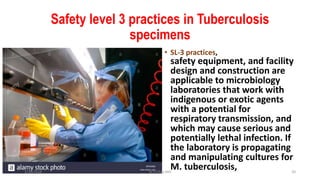 Safety level 3 practices in Tuberculosis
specimens
• SL-3 practices,
safety equipment, and facility
design and construction are
applicable to microbiology
laboratories that work with
indigenous or exotic agents
with a potential for
respiratory transmission, and
which may cause serious and
potentially lethal infection. If
the laboratory is propagating
and manipulating cultures for
M. tuberculosis,3/30/2018 Dr.T.V.Rao MD 20
 