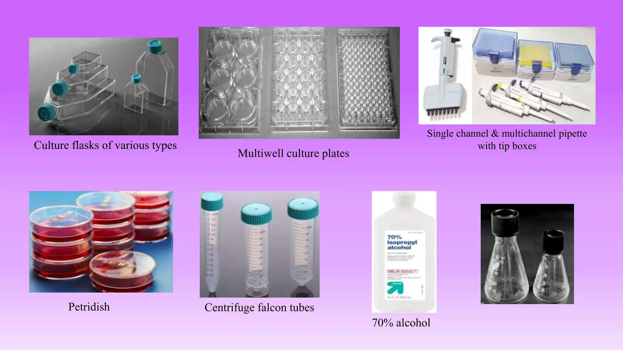 Culture flasks of various types
Multiwell culture plates
Single channel & multichannel pipette
with tip boxes
Petridish Centrifuge falcon tubes
70% alcohol
 
