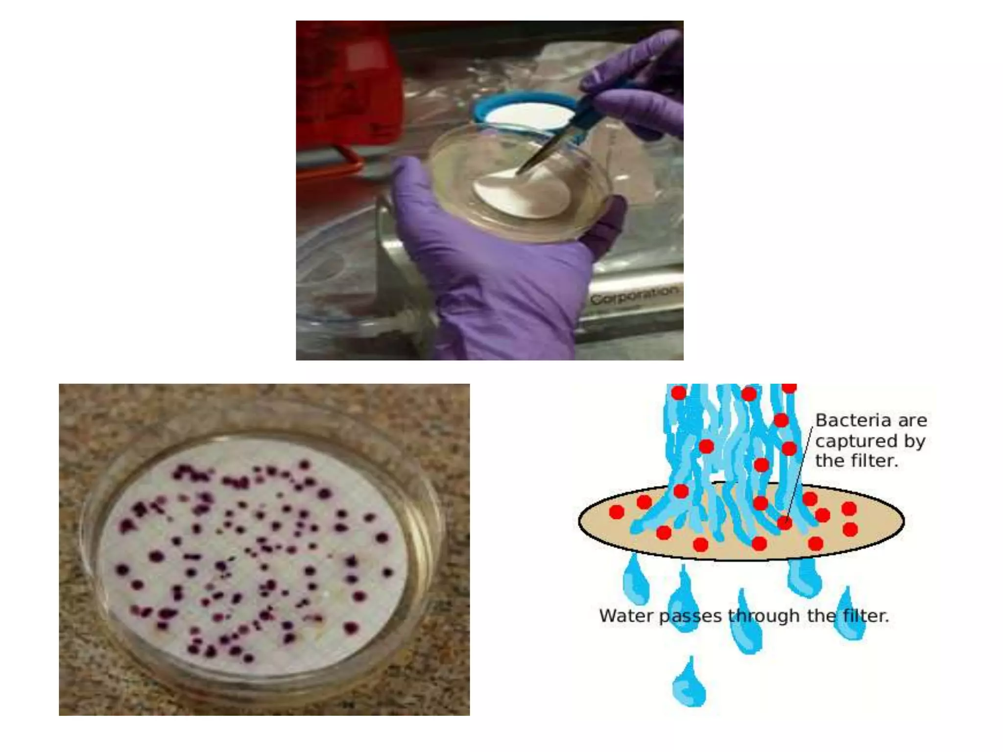 Laboratory testing of water quality parameters | PPTX