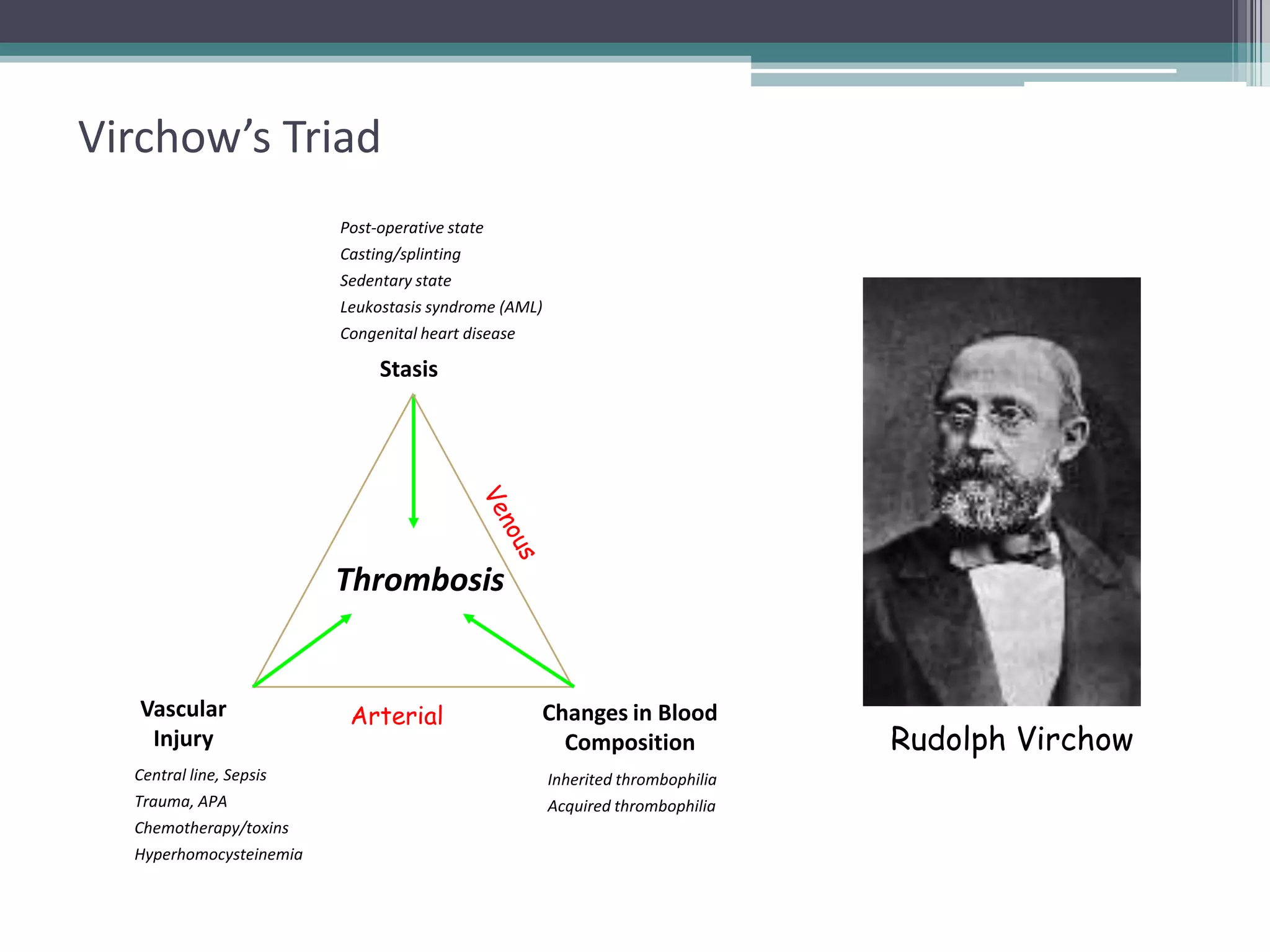 3

Virchow’s Triad
Post-operative state
Casting/splinting
Sedentary state
Leukostasis syndrome (AML)
Congenital heart disease

Stasis

Thrombosis

Vascular
Injury

Arterial

Changes in Blood
Composition

Central line, Sepsis

Inherited thrombophilia

Trauma, APA

Acquired thrombophilia

Chemotherapy/toxins
Hyperhomocysteinemia

Rudolph Virchow

 