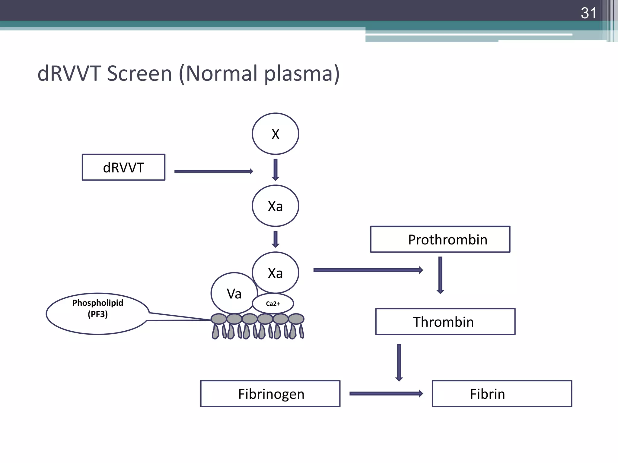31

dRVVT Screen (Normal plasma)
X
dRVVT
Xa
Prothrombin
Xa
Phospholipid
(PF3)

Va

Ca2+

Thrombin

Fibrinogen

Fibrin

 