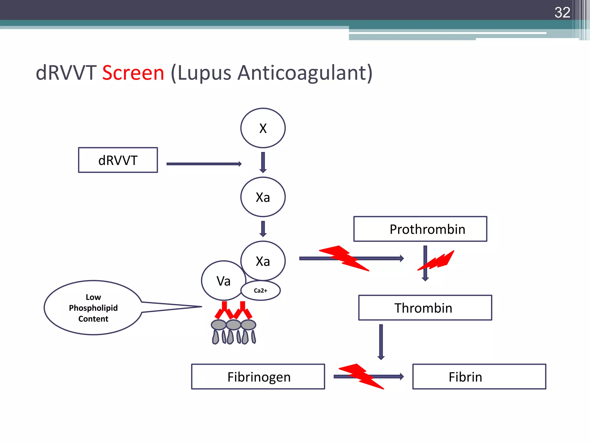 32

dRVVT Screen (Lupus Anticoagulant)
X
dRVVT
Xa
Prothrombin
Xa
Va
Low
Phospholipid
Content

Ca2+

Thrombin

Fibrinogen

Fibrin

 